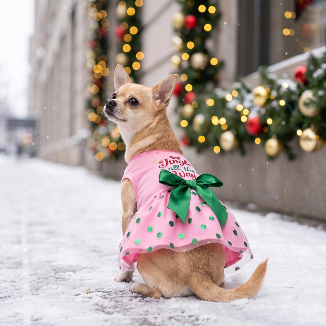 Chihuahua sitting on the snow with a Christmas dress for dogs