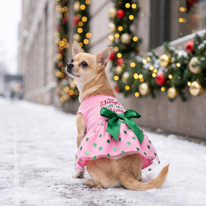 Chihuahua sitting on the snow with a Christmas dress for dogs