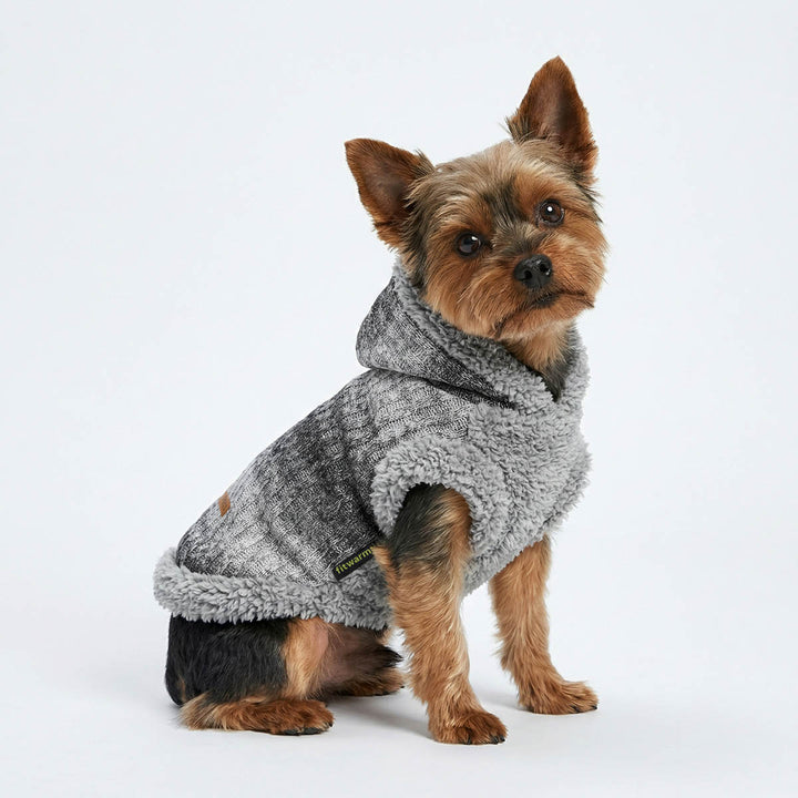 Yorkie sitting with a grey fuzzy hoodie for dogs