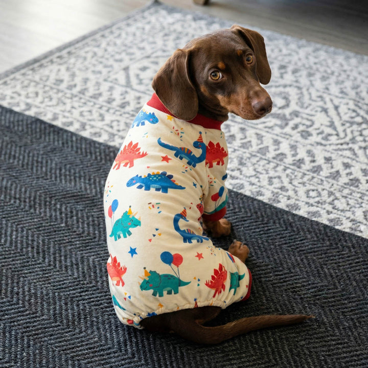 Back view of a Dachshund wearing a funny dog pjs with dinosaur prints on a carpet