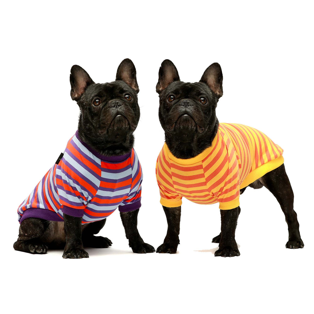 2-Pack 100% Cotton Striped French Bulldog Shirts Purple-Orange - Fitwarm