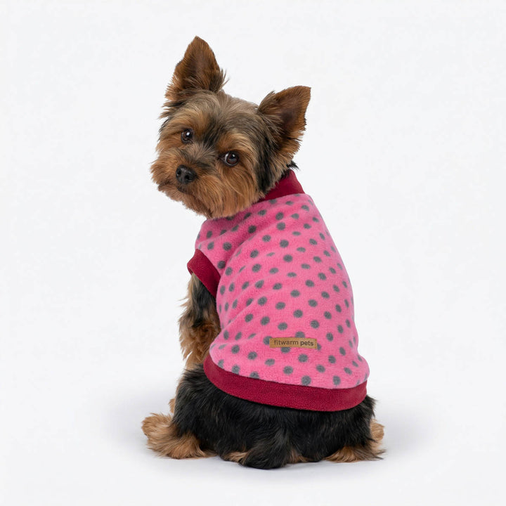 Back view of a Yorkie wearing a turtleneck dog sweater with polka dot design
