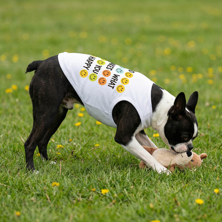 Dog wearing a white dog tshirt with colorful text and smiley faces, playing with a toy in a grassy field