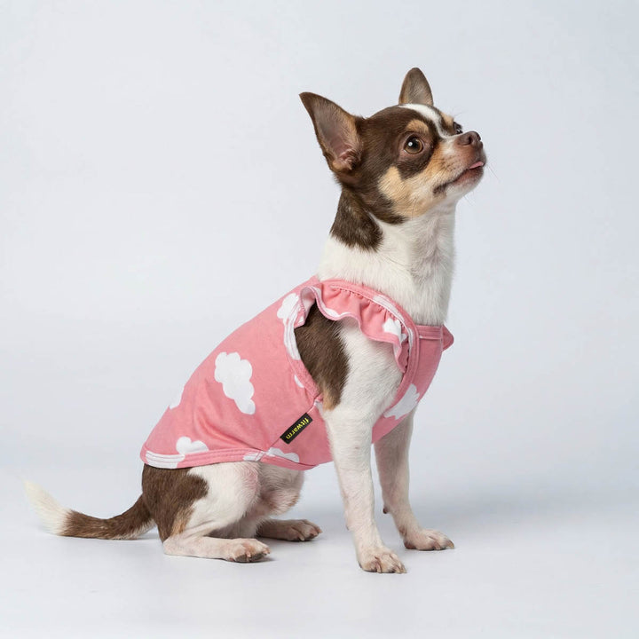 Small Chihuahua in a pink ruffle dog tank top with cloud prints
