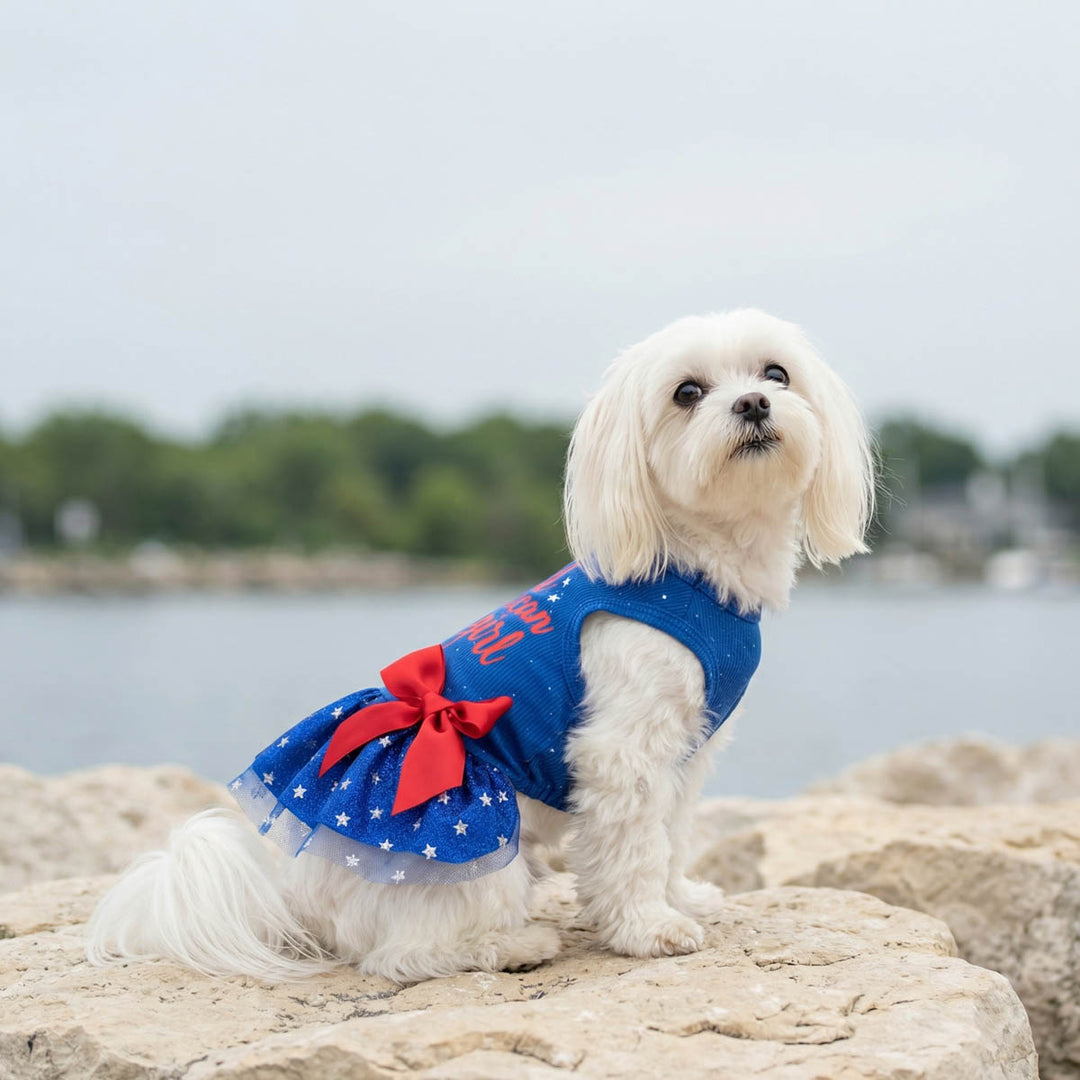 Maltese sitting on a rock with a blue dog tutu decorated in a red bow and white star prints