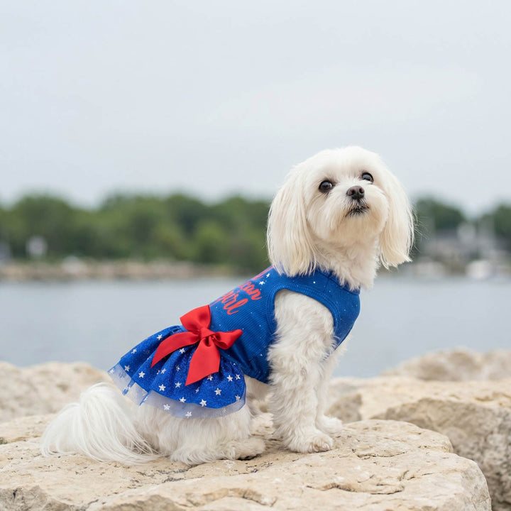 Maltese sitting on a rock with a blue dog tutu decorated in a red bow and white star prints