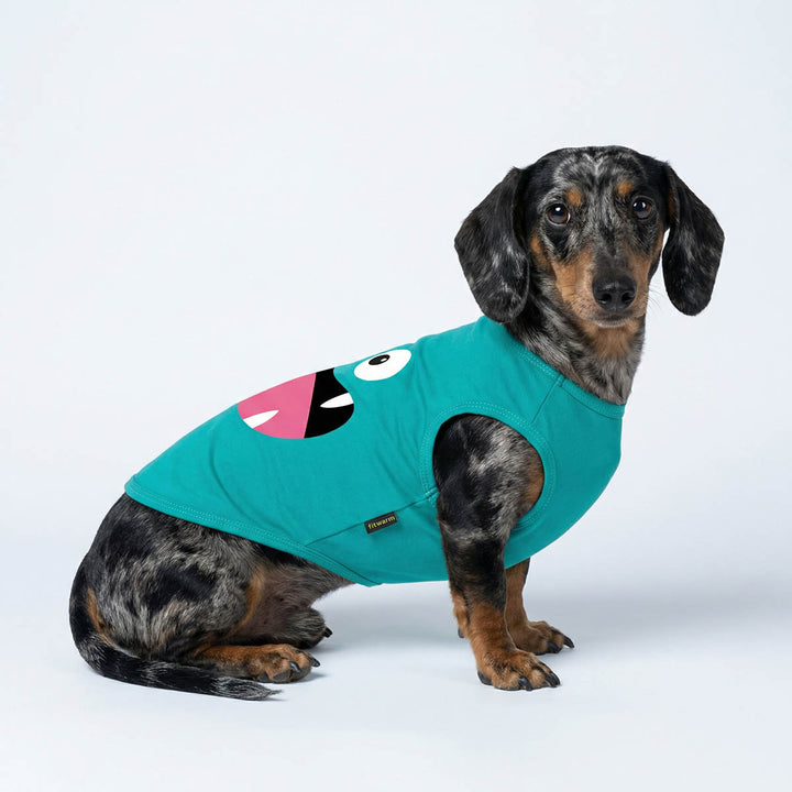 Dachshund wearing a teal shirt for dog designed with a funny monster print on a white background