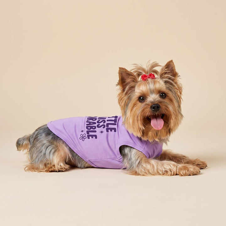 Yorkie lying on the beige background with a summer shirt for dogs with flower prints and 'Miss little adorable' lettering