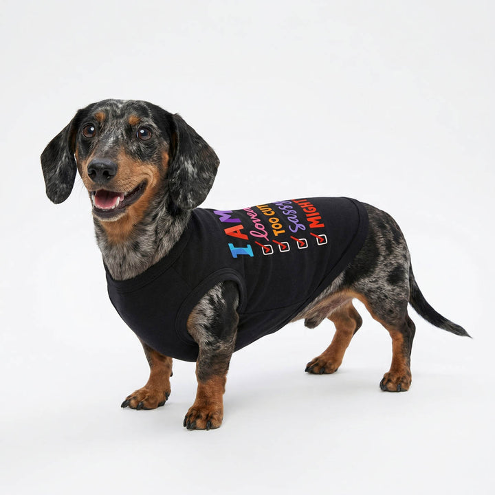 Funny checklist shirt for dogs on a smiling Dachshund