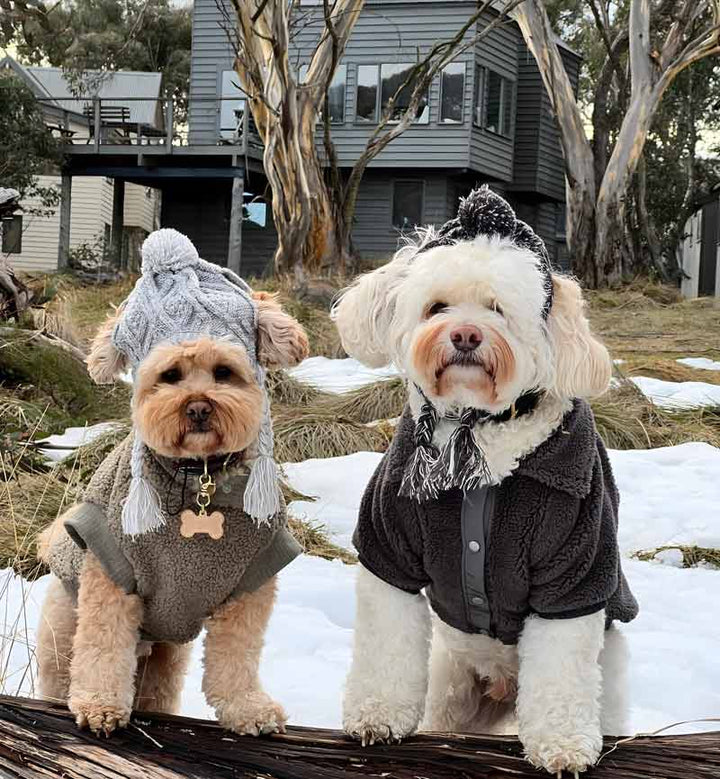Cavapoo Clothes - Dog Coats Jacket - Dog Winter Clothes - Fitwarm