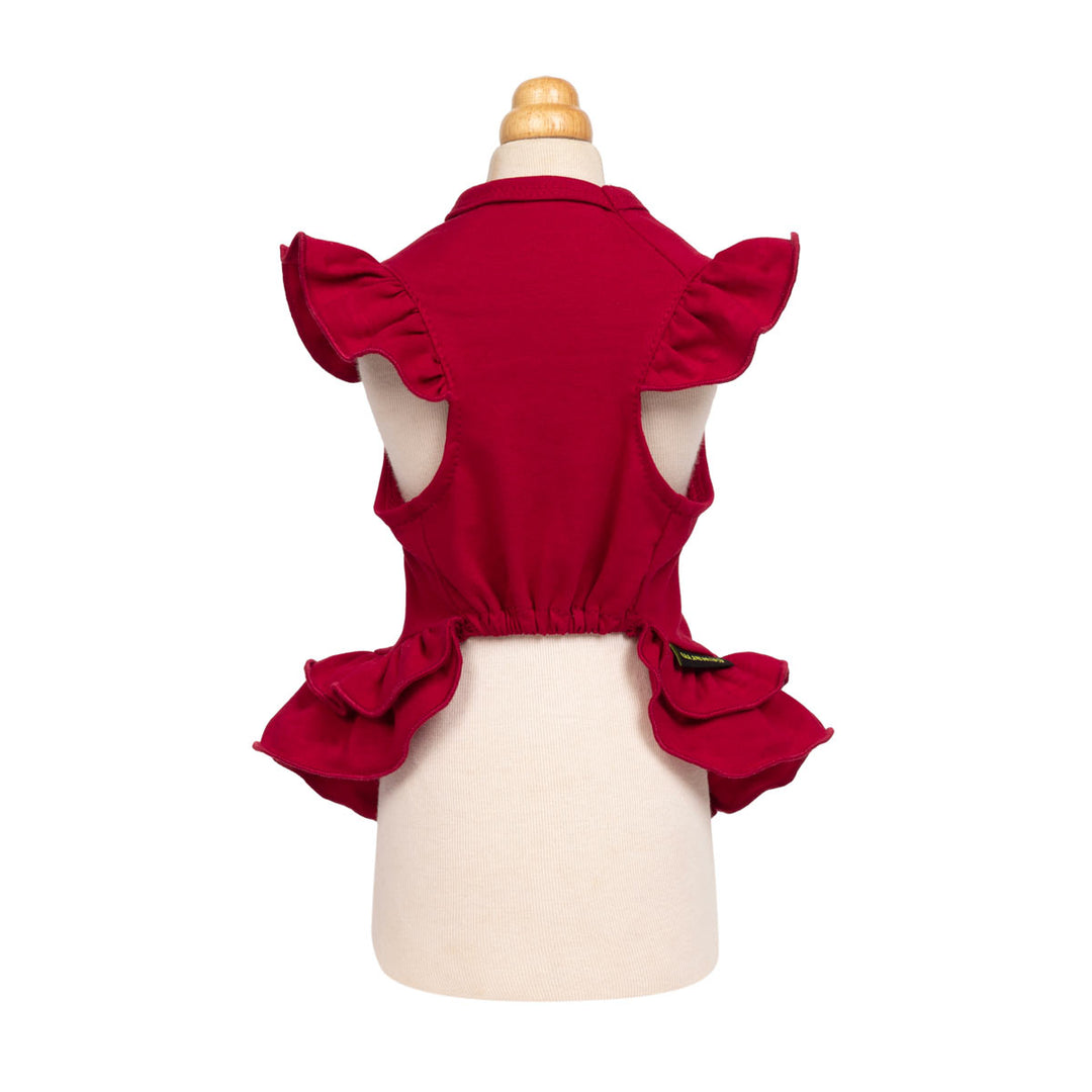 Sweet dog Christmas dress show from the back view on a white background
