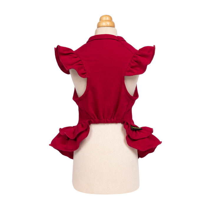 Sweet dog Christmas dress show from the back view on a white background