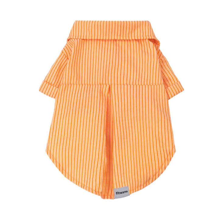 Orange striped shirt for dogs on a white background