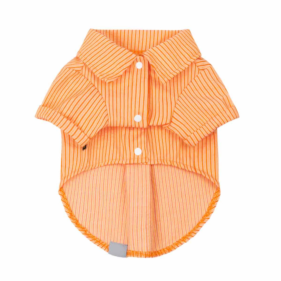 Orange striped dog shirt on a white background