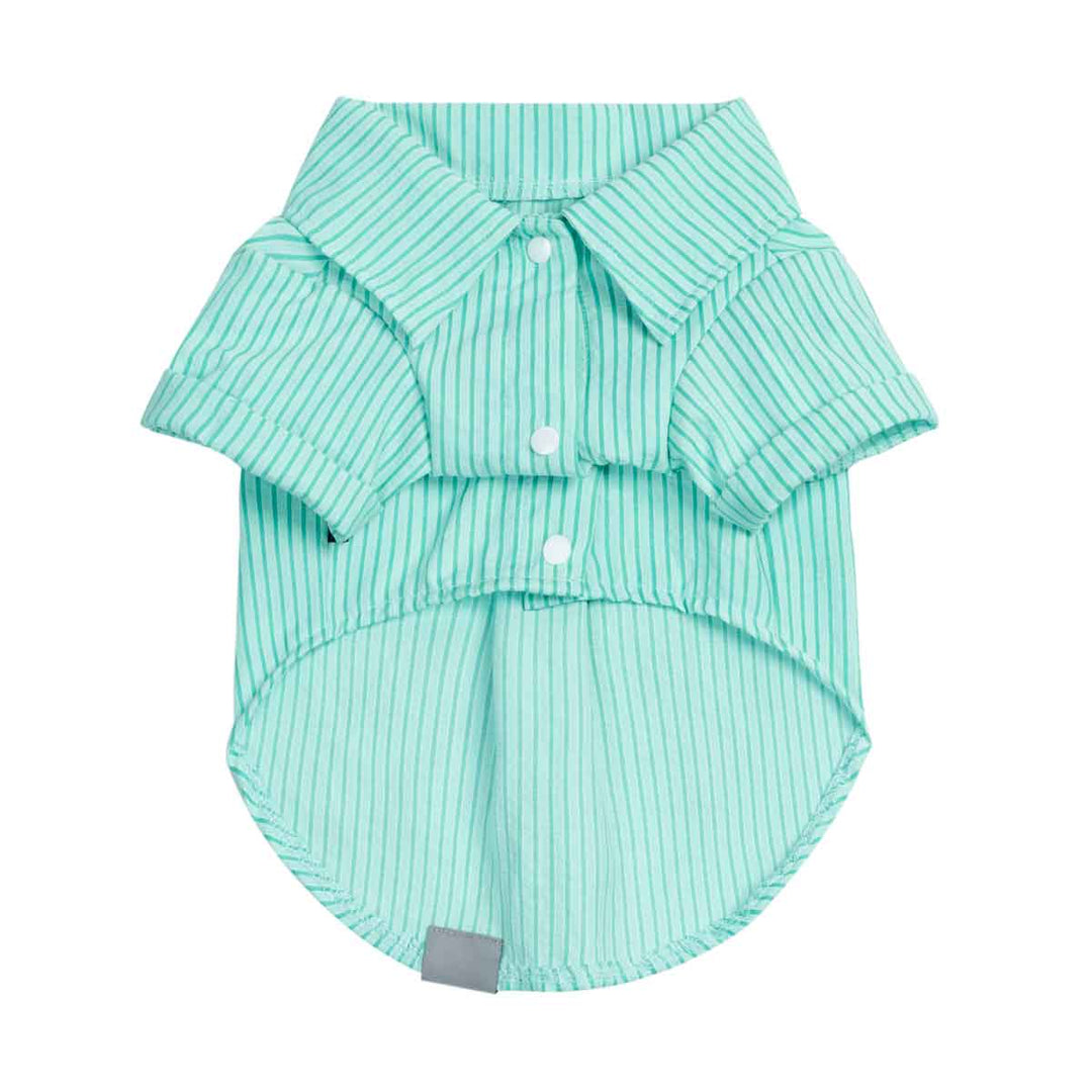 Green striped dog t-shirt on a white background