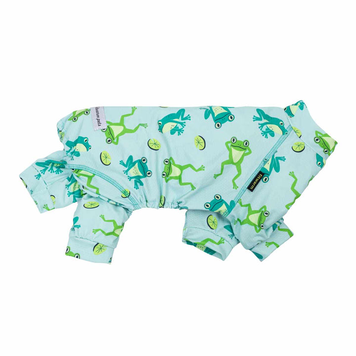 Blue dog onesie with all over frog prints