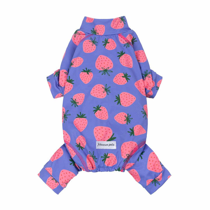 Summer dog uv jumpsuit with strawberry pattern on a blue background