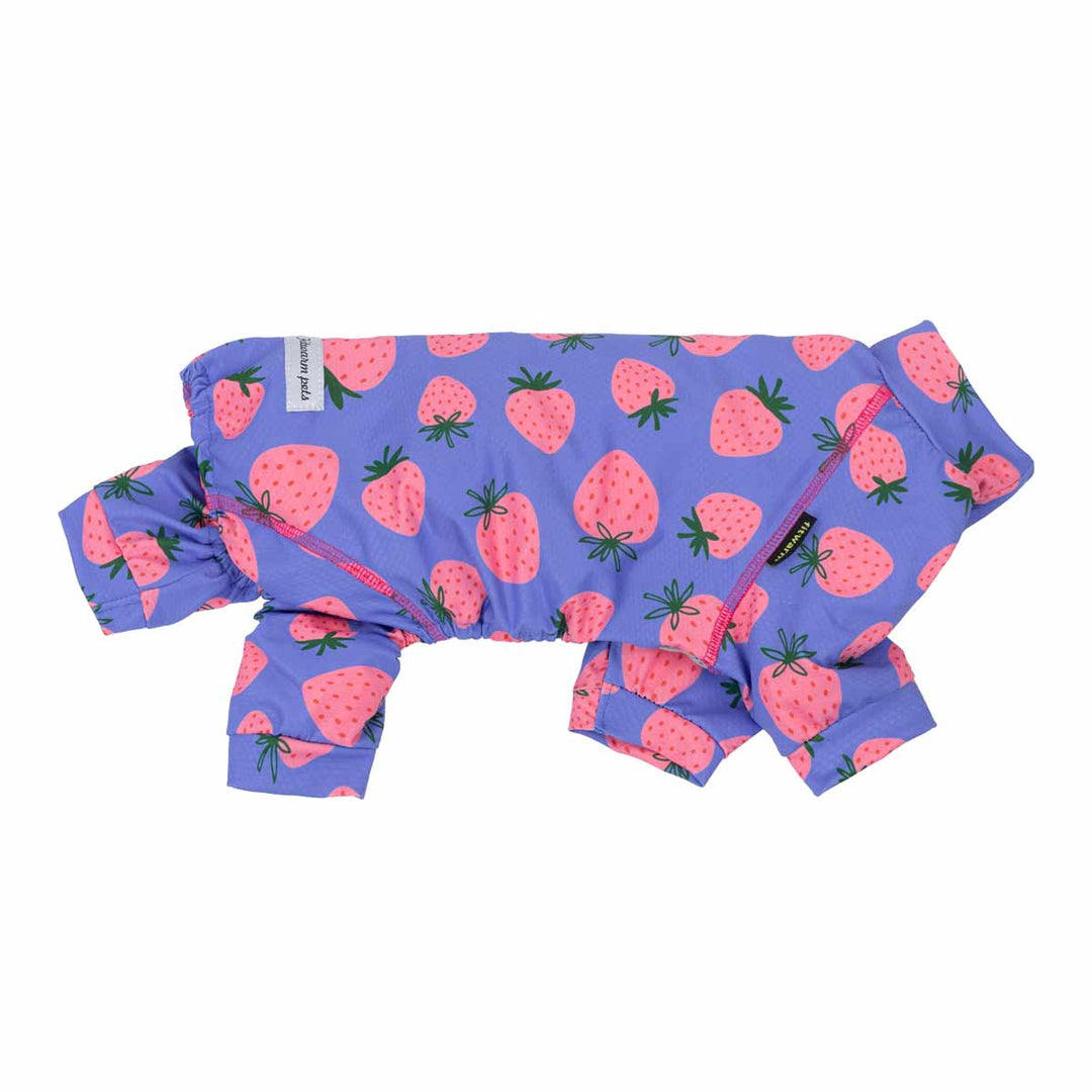 Summer dog UV protection onesie in adorable strawberry prints