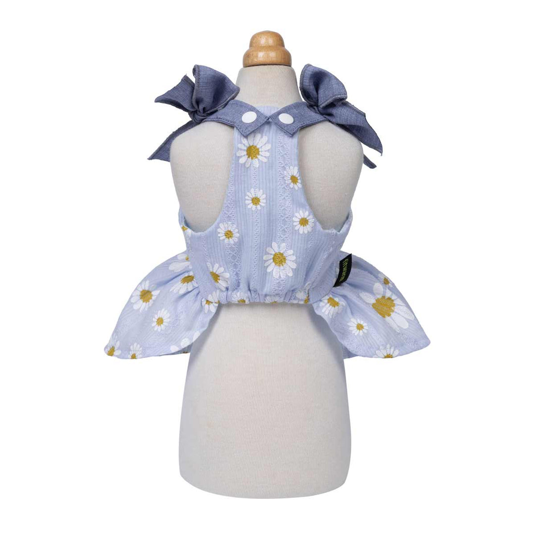 Blue floral dress for dogs on a white background