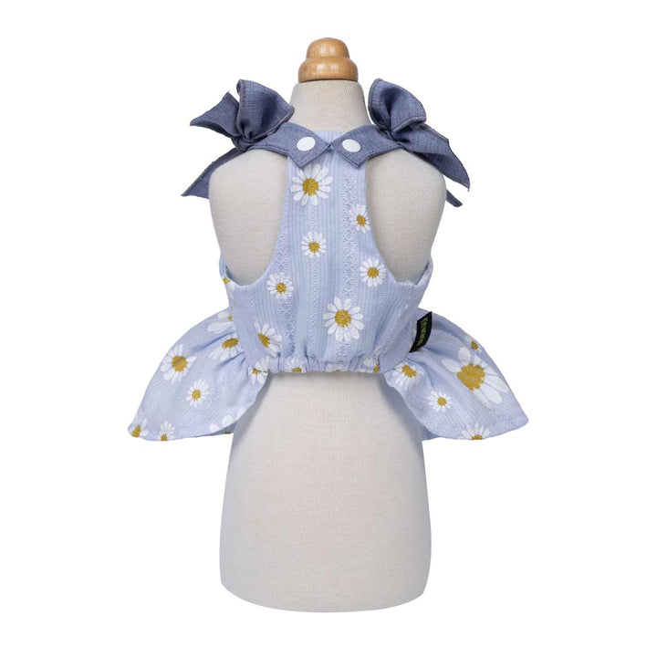 Blue floral dress for dogs on a white background