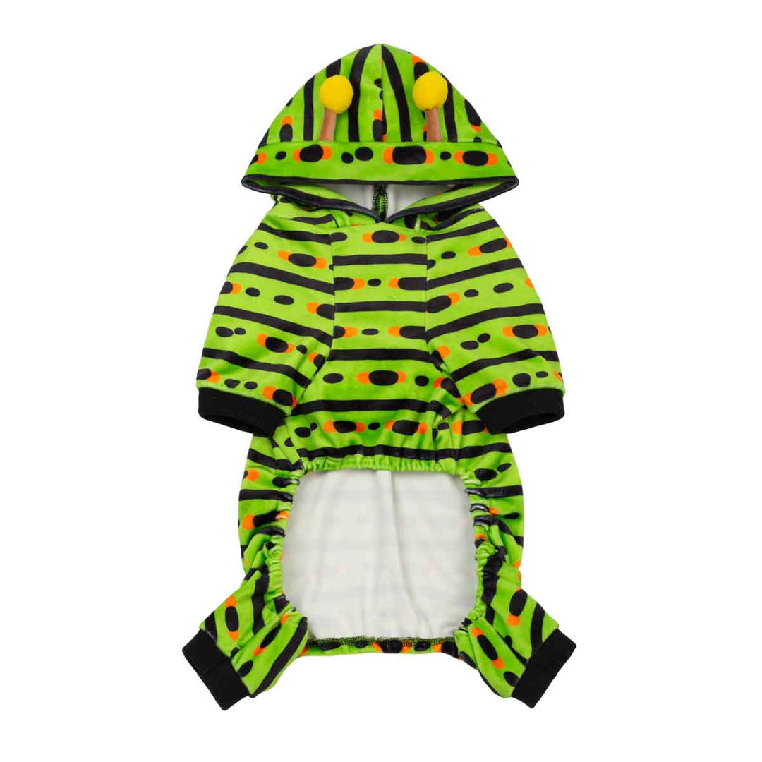 Halloween caterpillar themed costume for dogs
