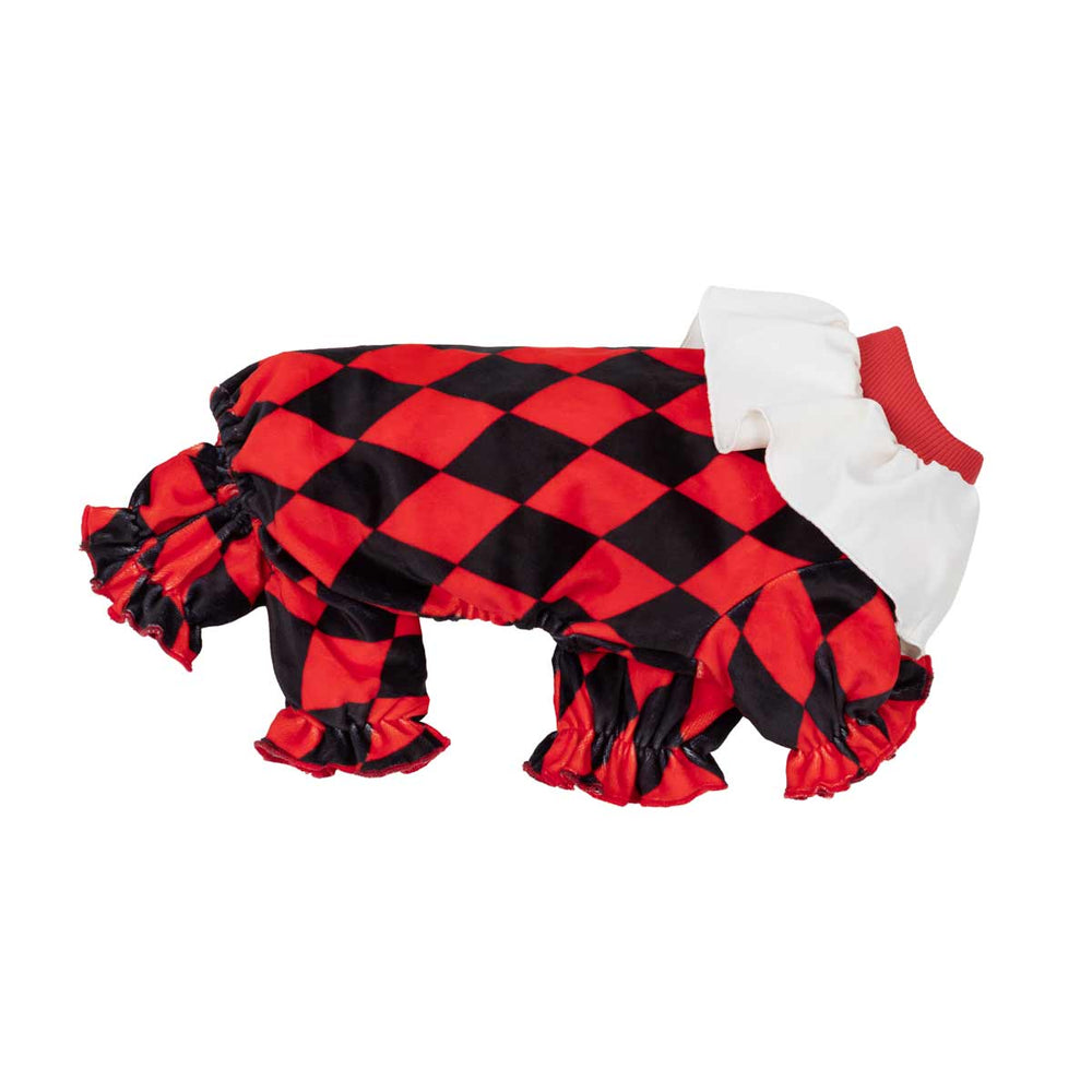 Small dog Halloween costume featuring a red and black harlequin diamond pattern, ruffled trim, and a white ruffled collar