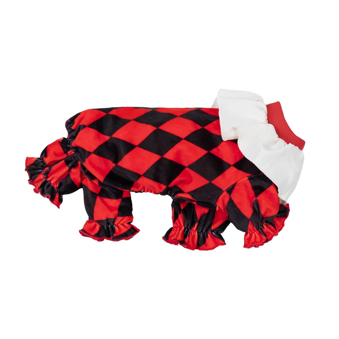 Small dog Halloween costume featuring a red and black harlequin diamond pattern, ruffled trim, and a white ruffled collar