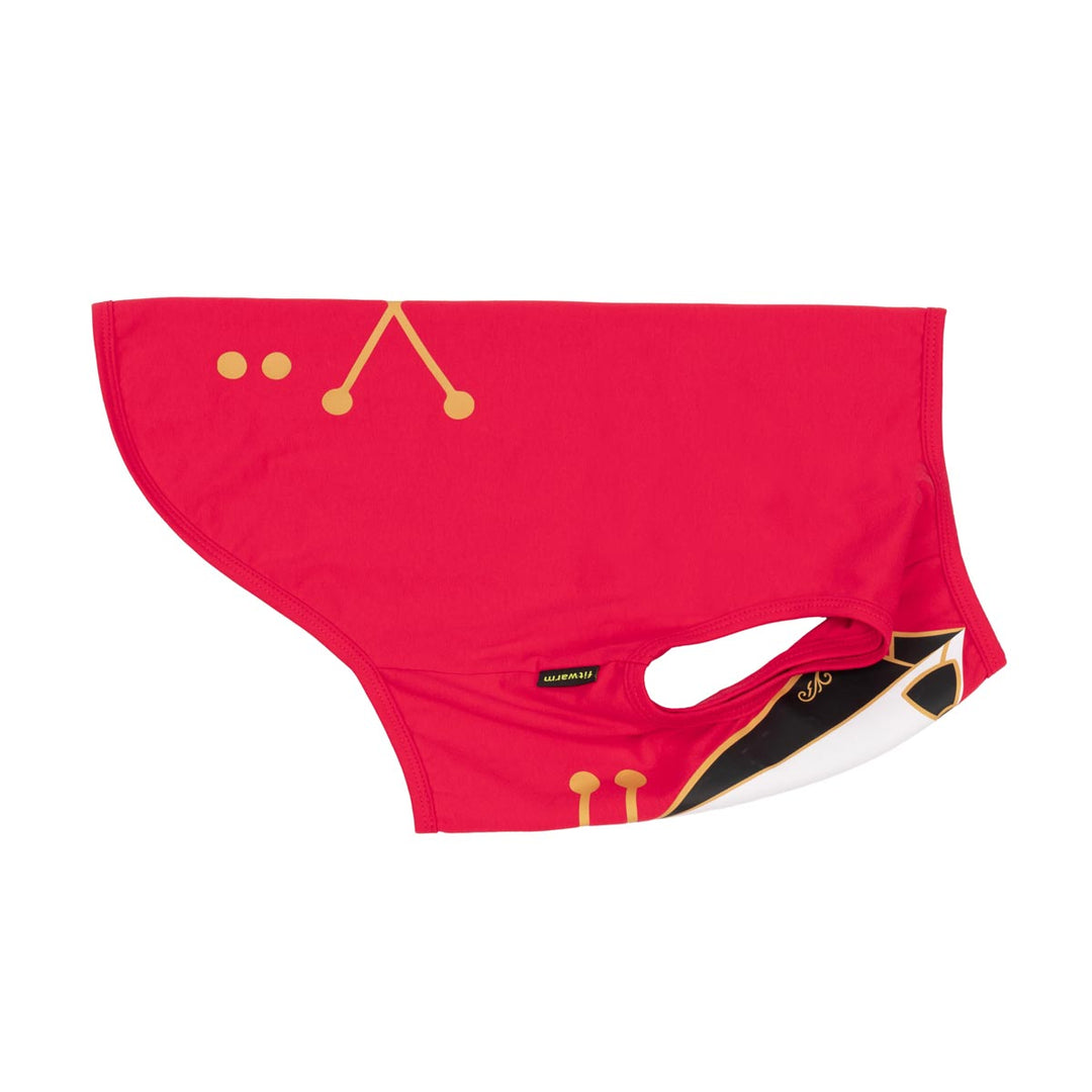 Side view of ringmaster dog Halloween costume