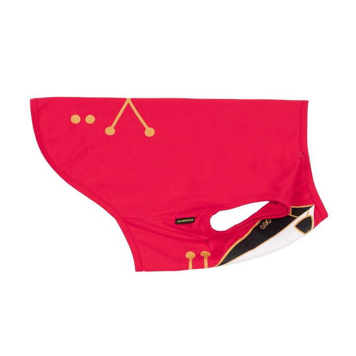Side view of ringmaster dog Halloween costume