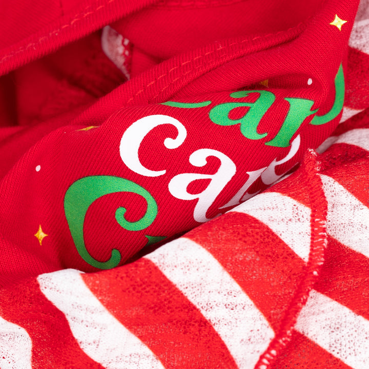 Close-up of Dog dress showing festive candy cane fabric and printed details
