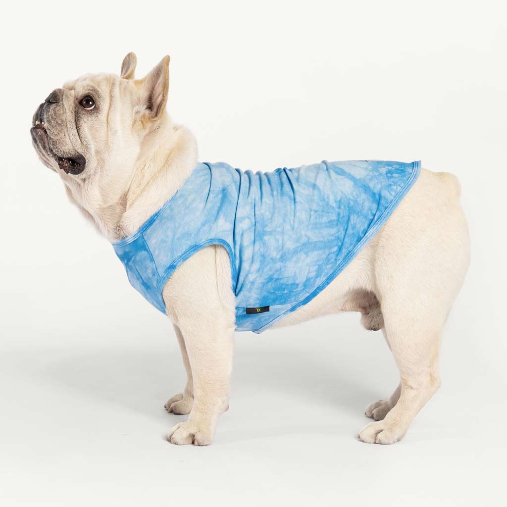 French Bull Dog in a Stylish Tie Dye Dog Shirt - Fitwarm Dog Clothes