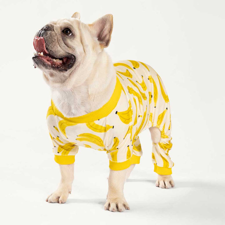 French Bull Dog in a Cute Banana Dog Pajamas - Fitwarm Dog Clothes