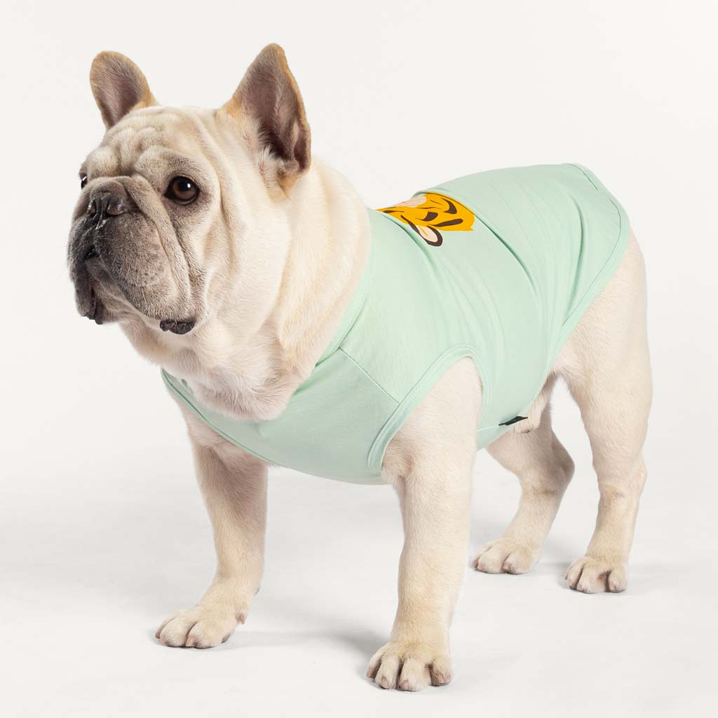 French Bull Dog in a Dog Shirt with Cute Tiger Print - Fitwarm Dog Clothes