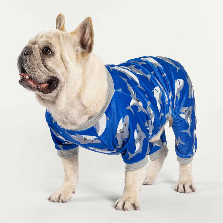 French Bull Dog in a Dog Pajamas with Shark Prints - Fitwarm Dog Clothes