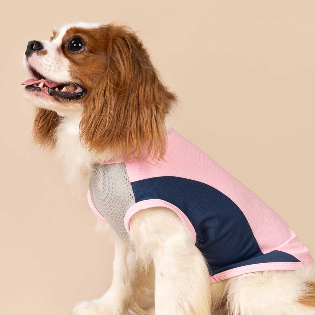 Pink Sun Protection Dog Shirt for King Charles Spaniel - Fitwarm Dog Clothes