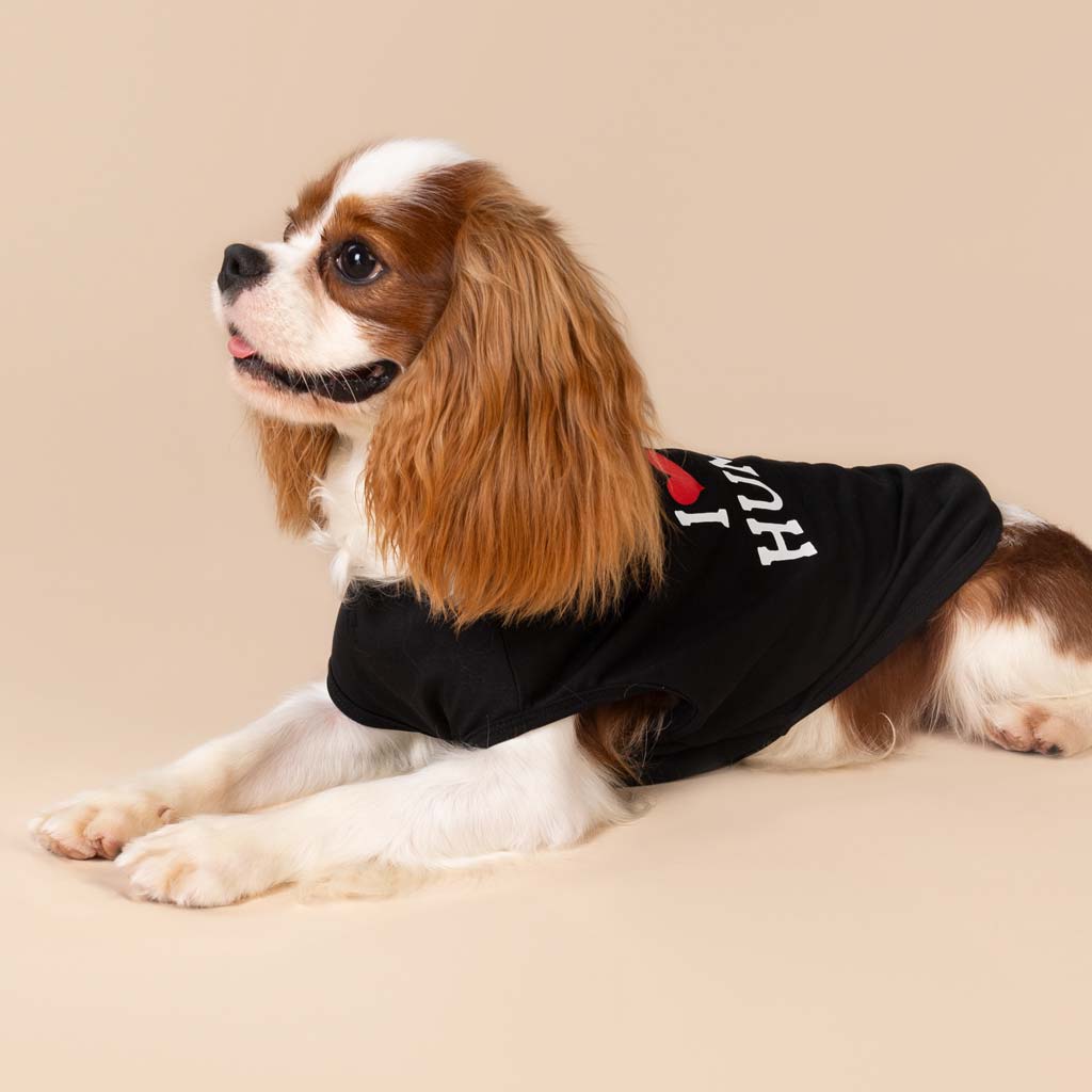 Cavalier King Charles Spaniel in a Dog Shirt with I Love Human Lettering - Fitwarm Dog Clothes