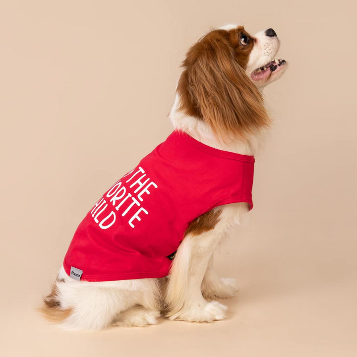 Cavalier King Charles Spaniel in a Cute Family Dog Shirt - Fitwarm Dog Clothes