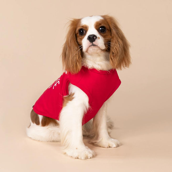 Cavalier King Charles Spaniel in a Red I'm the Favorite Child Dog Shirt - Fitwarm Dog Shirt