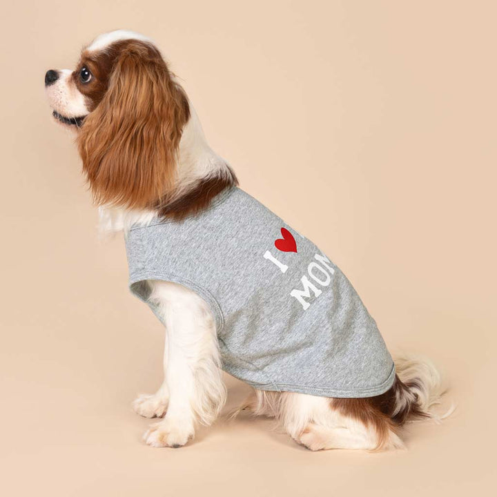 King Charles Spaniel in a Cute Family Themed Dog Shirt - Fitwarm Dog Clothes