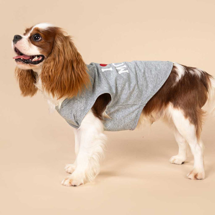 King Charles Spaniel in a Cute I Love My Mommy Dog Shirt - Fitwarm Dog Clothes