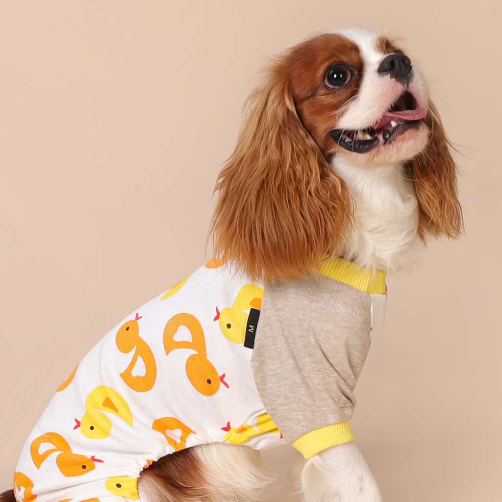 King Charles Spaniel in a Dog Pajamas with Duck Prints - Fitwarm Dog Clothes