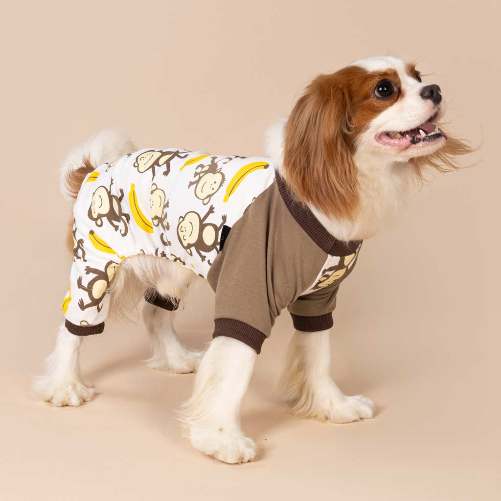 King Charles Spaniel in a Cute Monkey Dog Pajamas - Fitwarm Dog Clothes