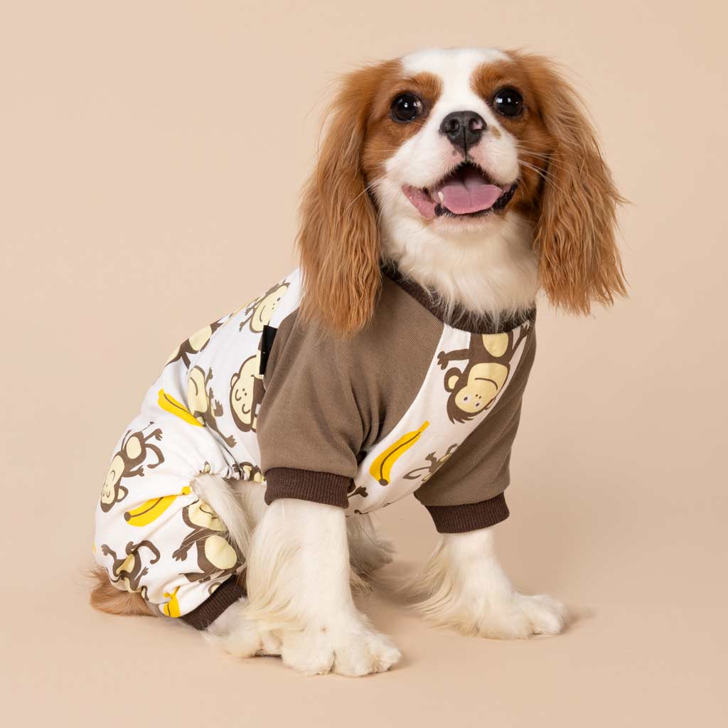King Charles Spaniel in a Dog Pajamas with Monkey Prints - Fitwarm Dog Clothes