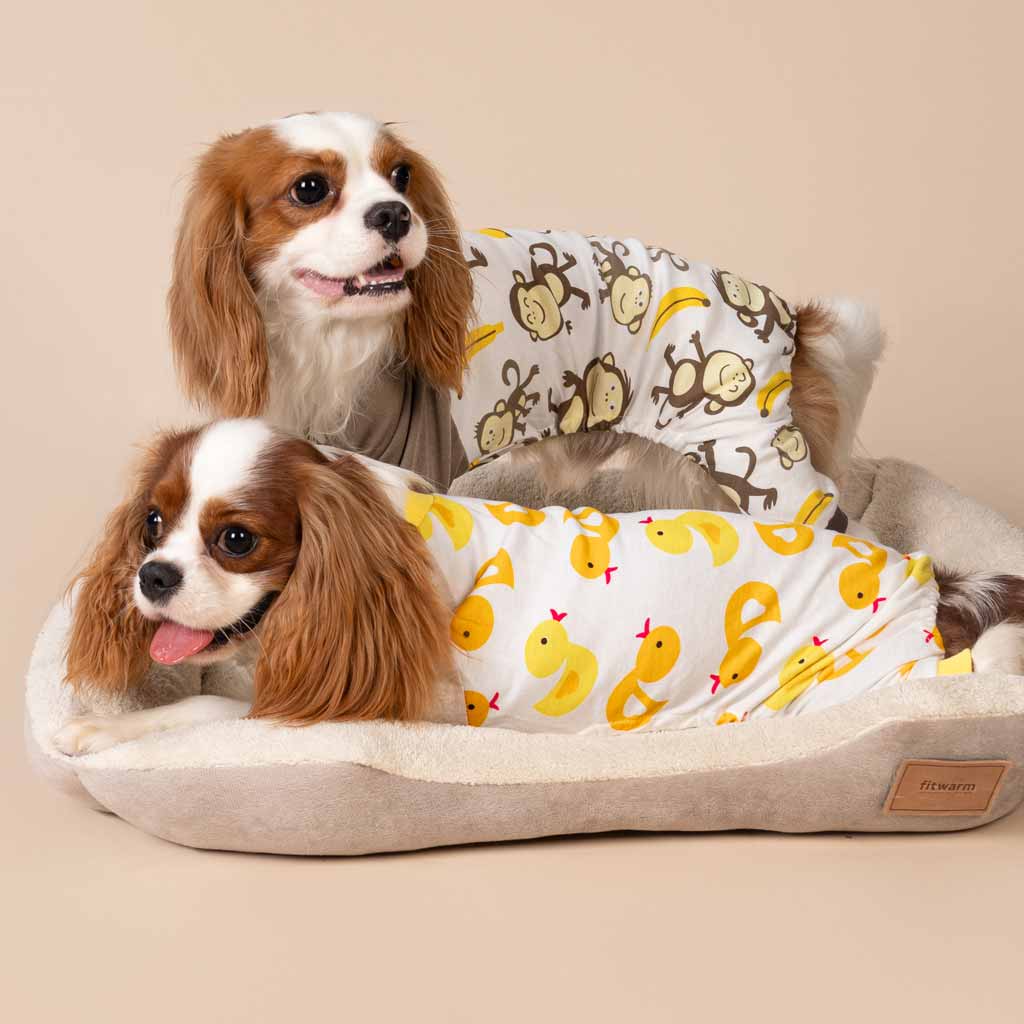 King Charles Spaniels in Cute Dog Pajamas - Fitwarm Dog Clothes