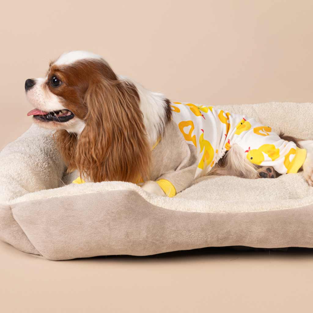 King Charles Spaniel in a Cute Duck Prints Dog Pajamas - Fitwarm Dog Clothes