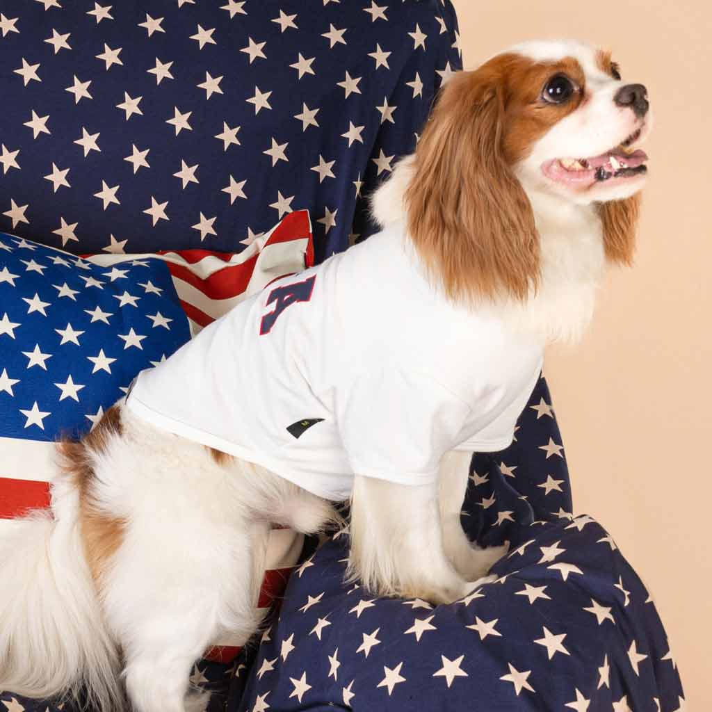 King Charles Spaniel in a White USA Dog Shirt - Fitwarm Dog Clothes
