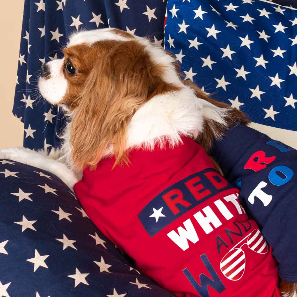 Classic 4th of July Dog Shirts for King Charles Spaniels - Fitwarm Dog Clothes