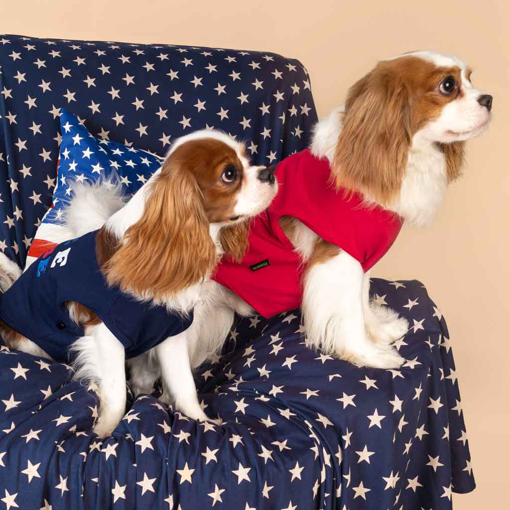 King Charles Spaniels in Patriotic Dog Shirts with Free to Be Lettering - Fitwarm Dog Clothes
