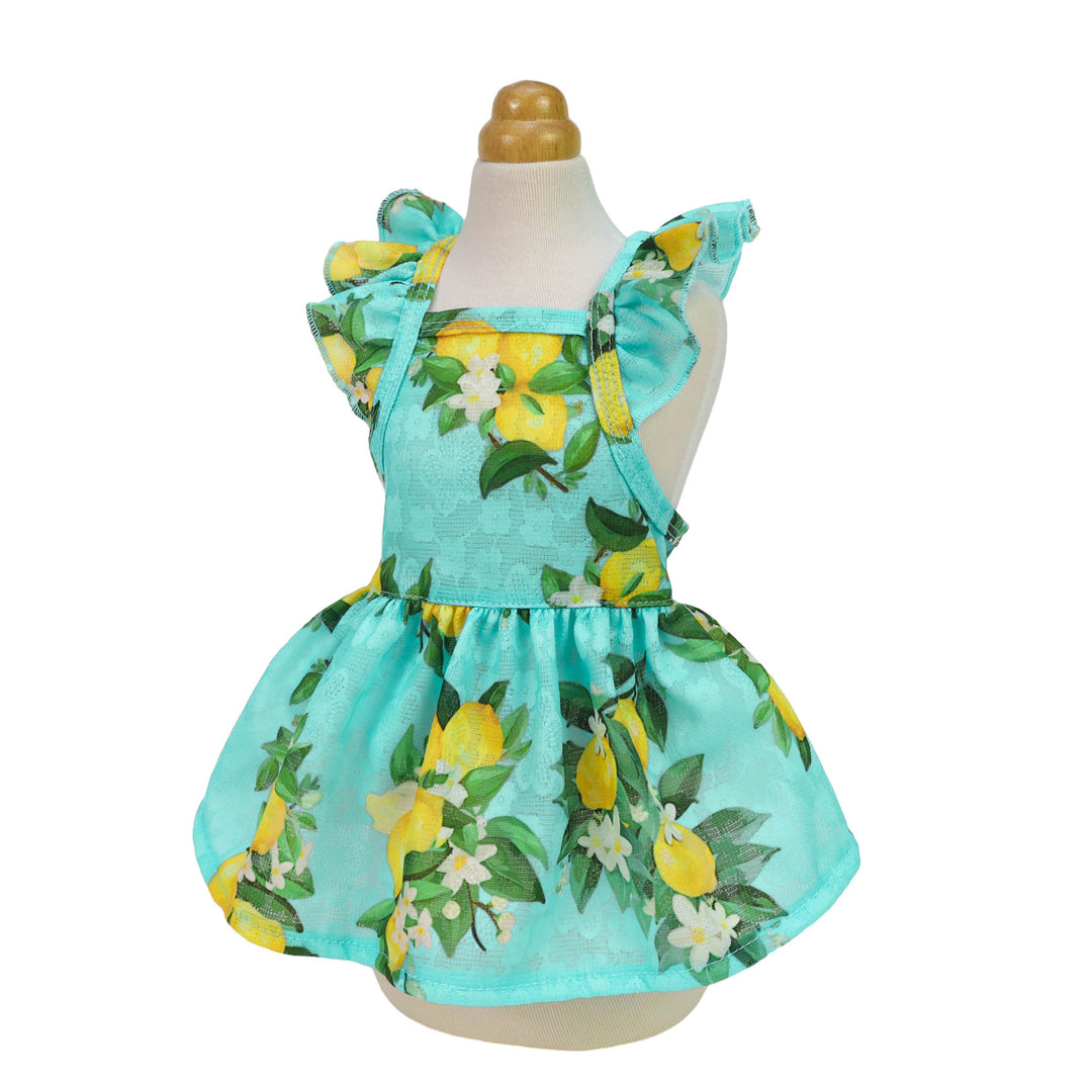 Ruffle Sleeves Flower dog clothes