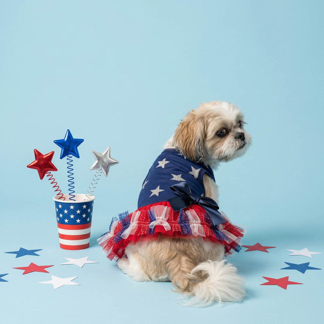 Small dog sitting beside a bucket of star with a patriotic dog tutu dress